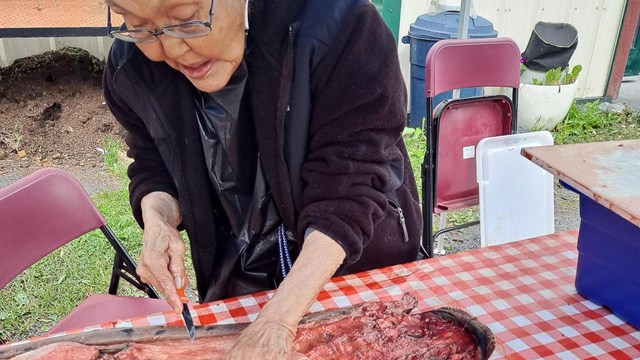 A woman removes fat from the inside of a seal hide
