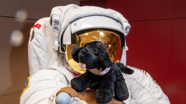 toy dog near space suit