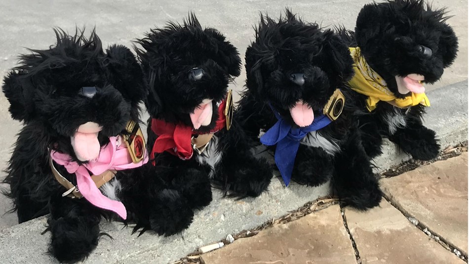 five toy dogs 
