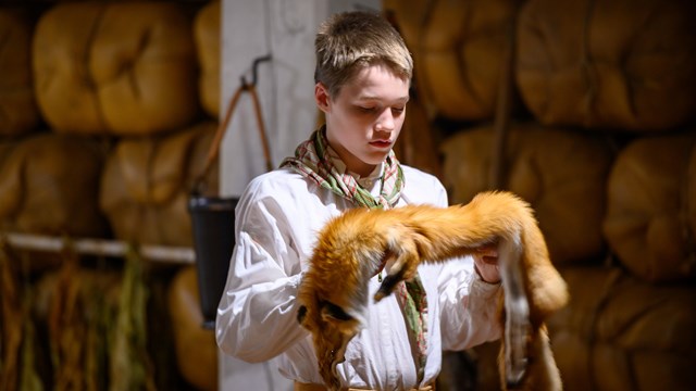 A boy wearing a striped 19th century style shirt holding a fox fur.