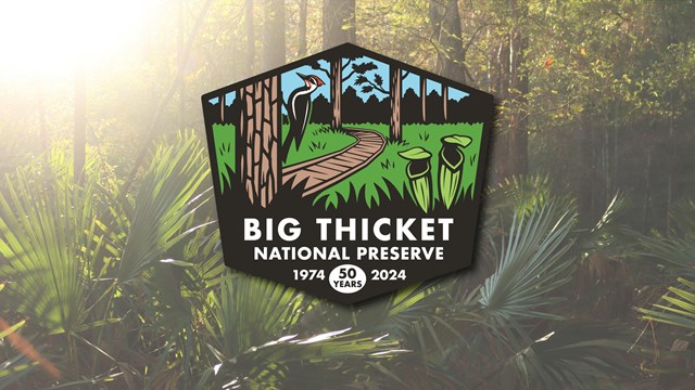 a logo with text: Big Thicket National Preserve 50 years, 1974-2024, with palmettos in the back.
