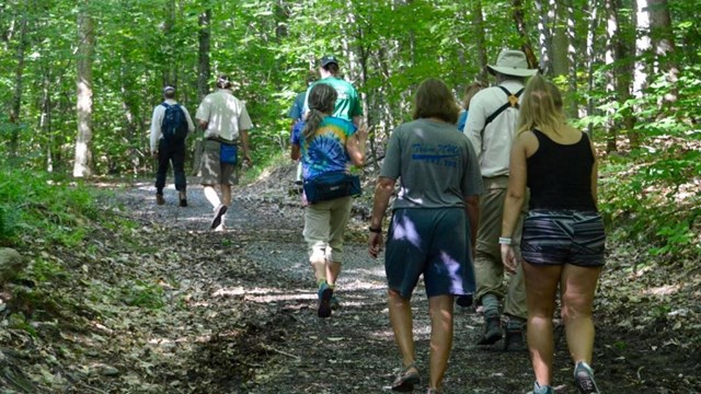 A group of visitors walk in forest.