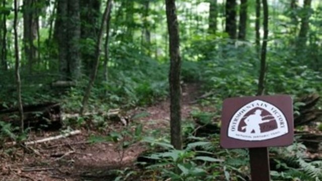 Trail marker in forest