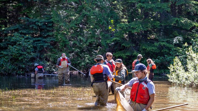 A group of volunteers in life jackets wade in a lake with nets