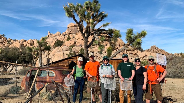 A team of scientists stands in front of joshua trees.