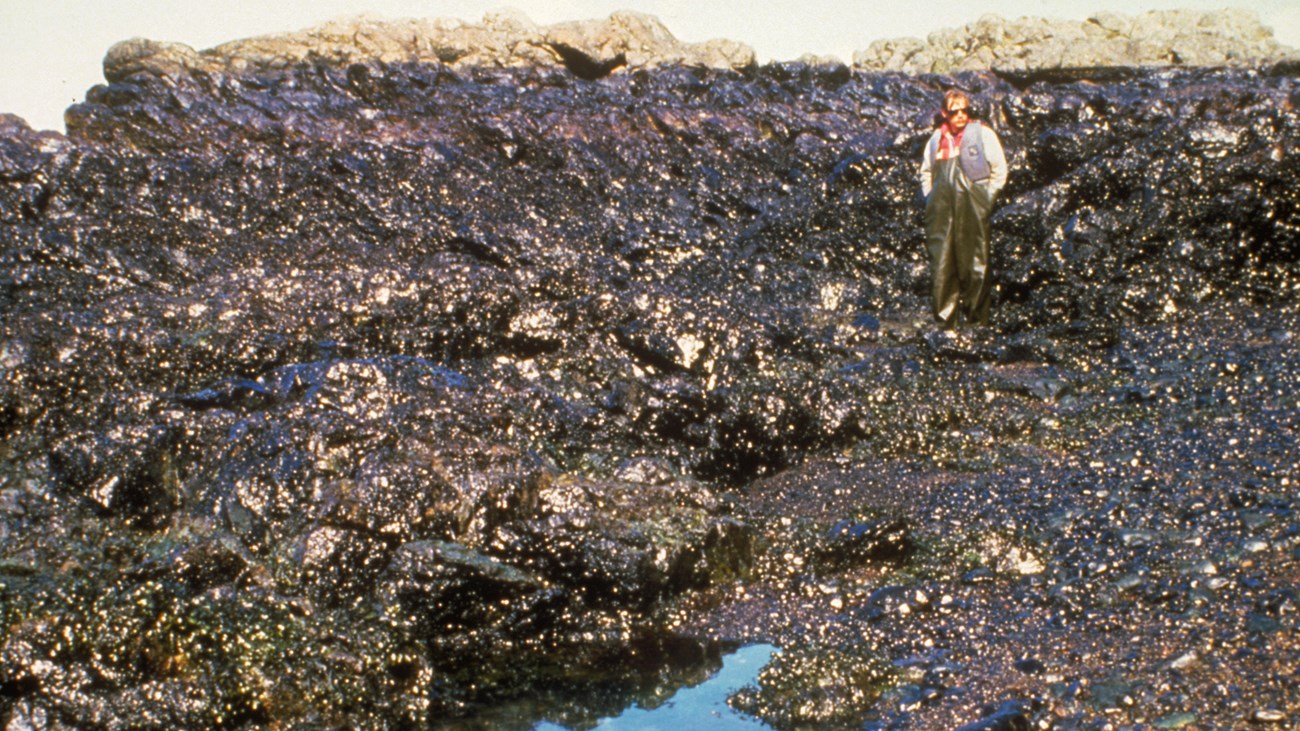 A person walks along an oil-covered beach