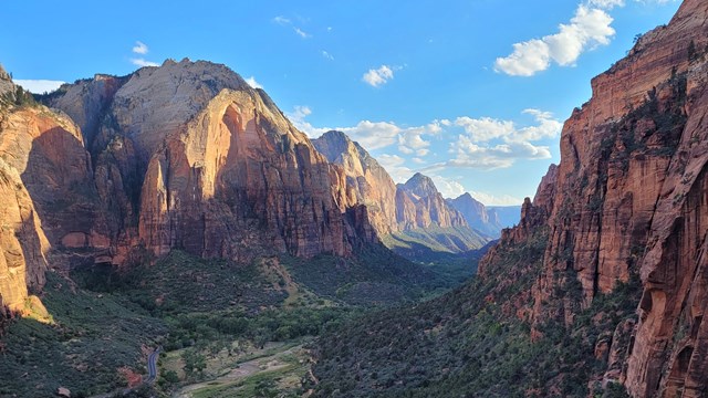 View looking down into large canyon with blue sky above.