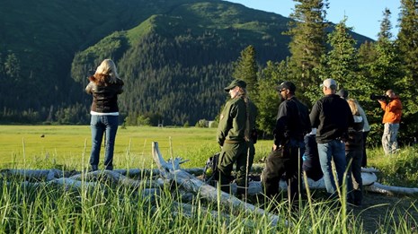 A group of people standing near fallen, dead logs staring out at a bear in the distance.