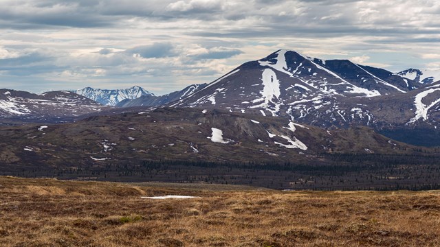 Image of valley with snow capped mountains and cloudy skies in the background.