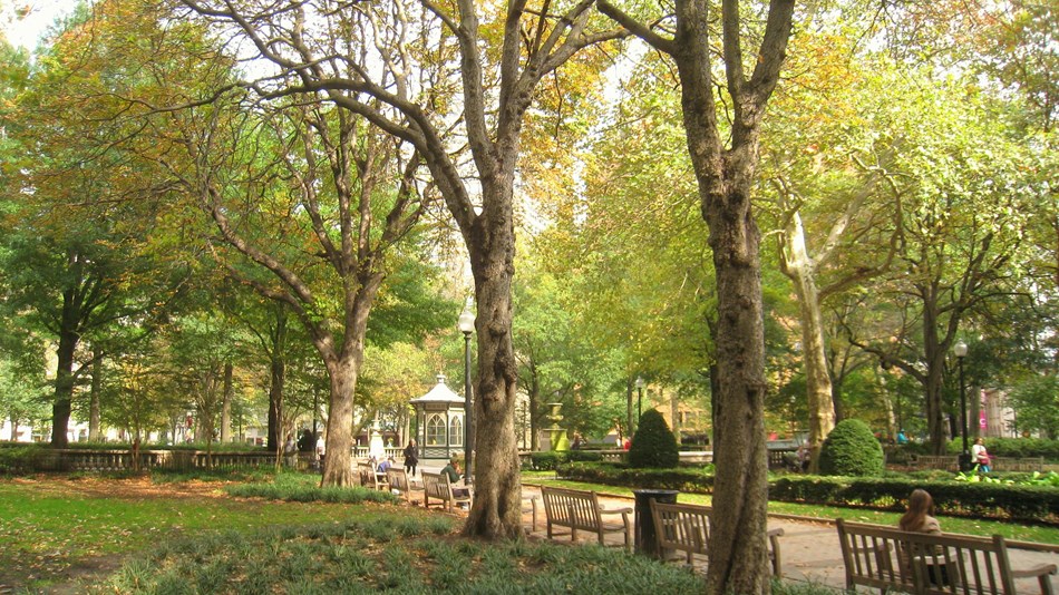 Photo of trees and flowers in Rittenhouse Square. Photo: by Daderot. Self-photographed-Public Domain