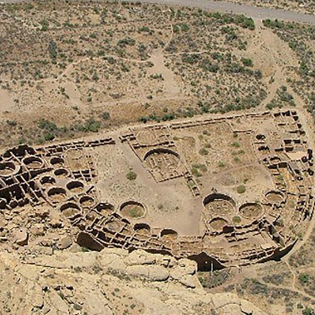 Pack rats hoard caches of useful archeological information about climate.