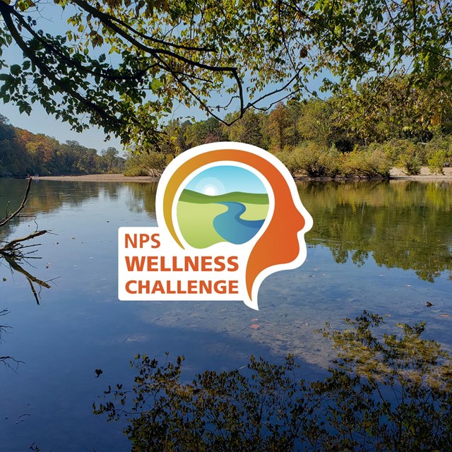 NPS Wellness Challenge logo with backdrop of Ozark scenic riverways 
