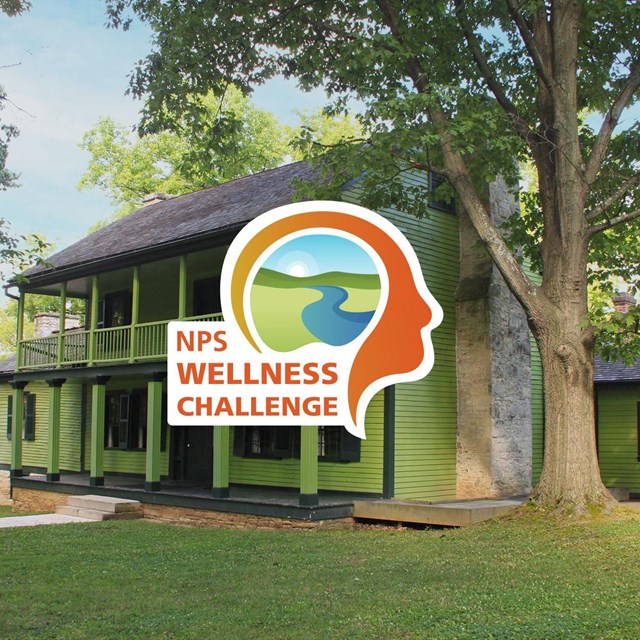 NPS Wellness Challenge logo with backdrop of White Haven