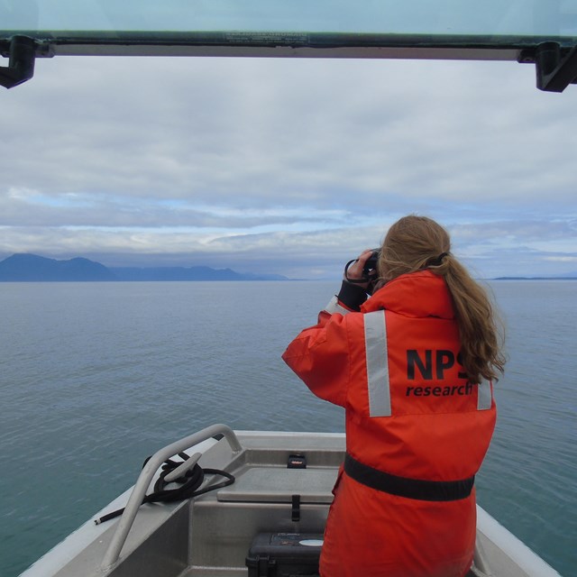 a park researcher looks with binoculars off of a boat