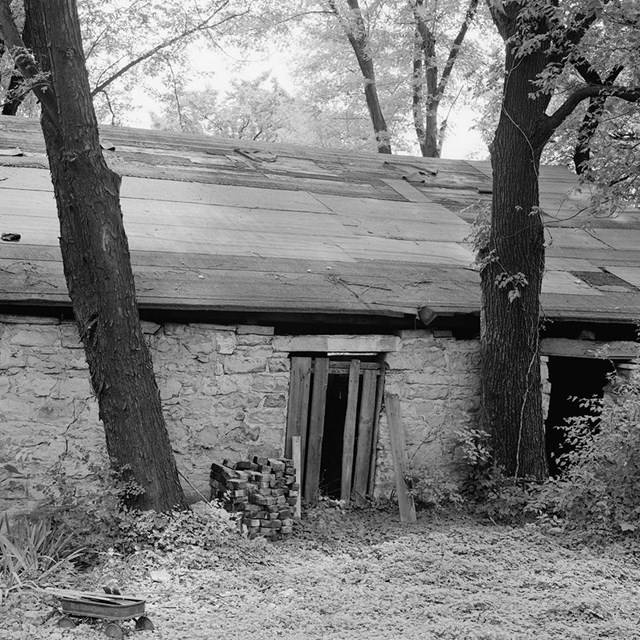 White Haven, Slave Quarters, View from Northeast