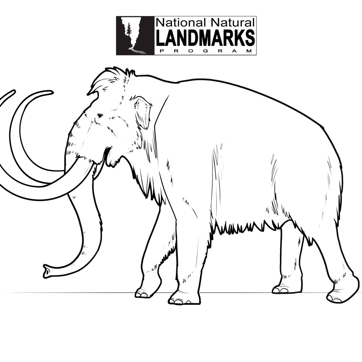 line drawing of woolly mammoth