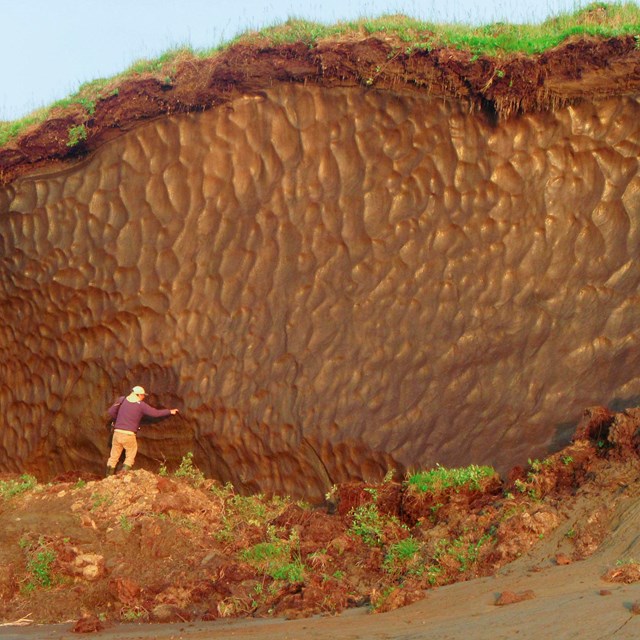 A scientist is dwarfed by an exposed permafrost bluff.  