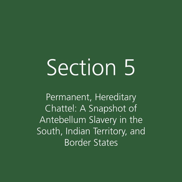 Section 5: Permanent, Hereditary Chattel: A Snapshot of Antebellum Slavery