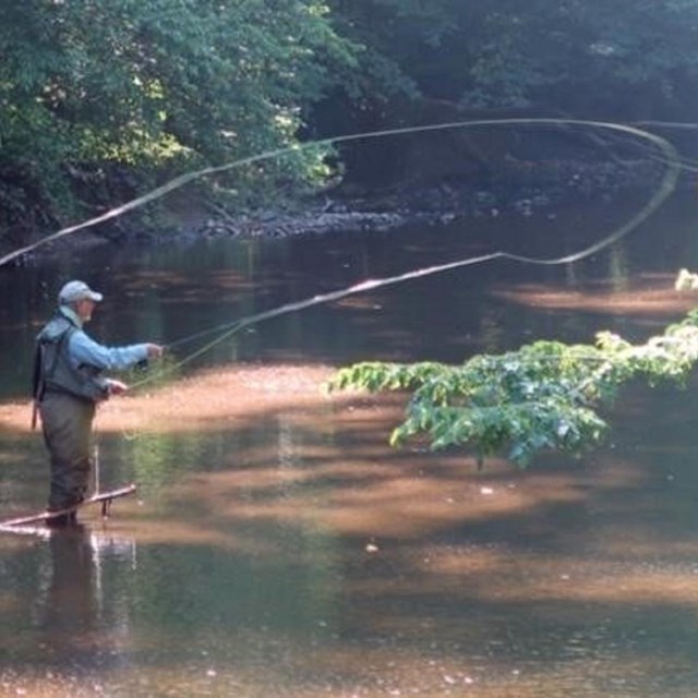 On a sun dappled section of river, Ed casts with his fly rod. Photo credit: Stewart Whisenant.