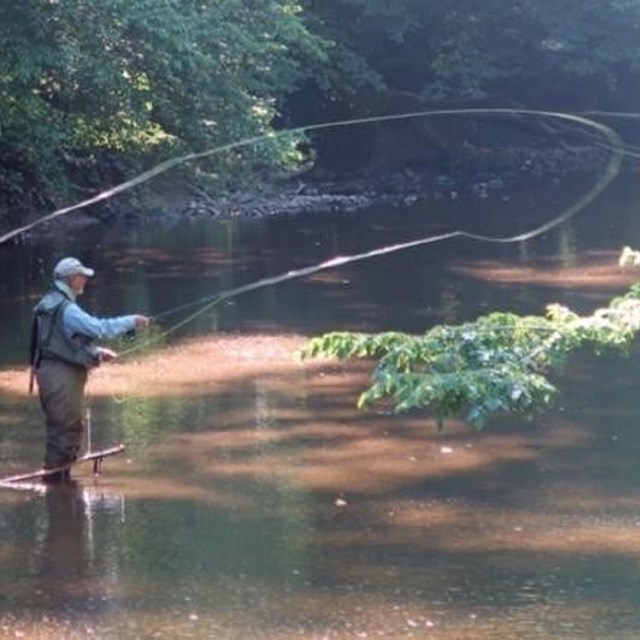 On a sun dappled section of river, Ed casts with his fly rod. Photo credit: Stewart Whisenant.