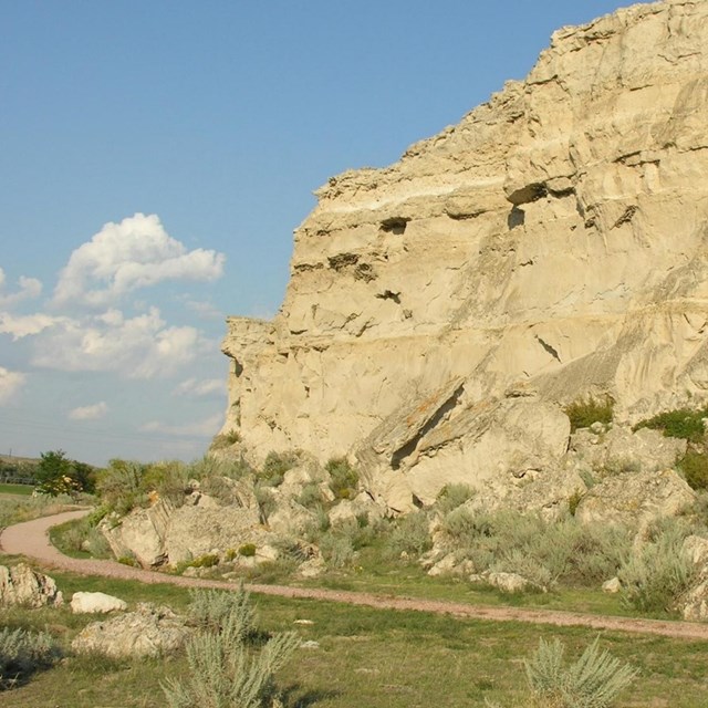 Historic etchings can be seen on a large limeston outcropping.