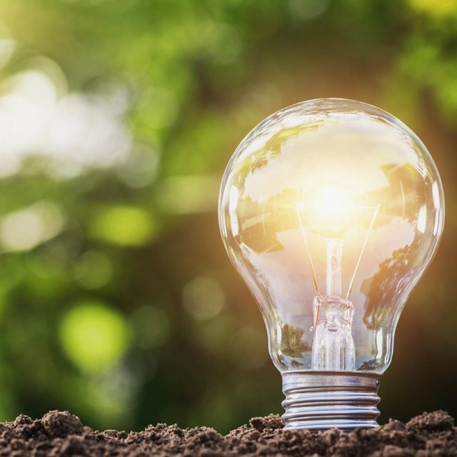 a light bulb stands in fresh soil