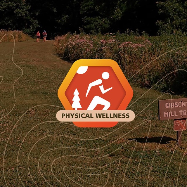 Orange hexagon wellness logo with white overlay of a runner, sun, and tree