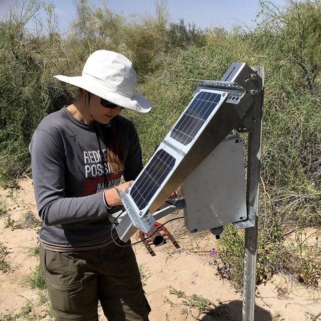 a scientist sets up a remote recording device