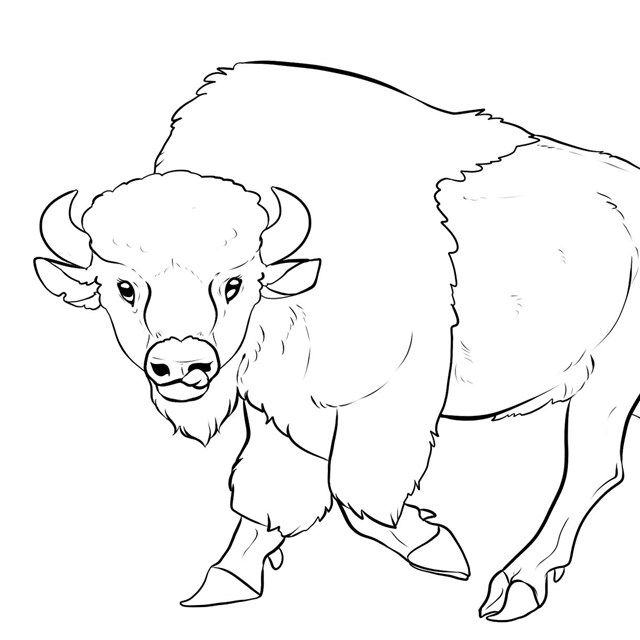An illustration of an outline of a bison.