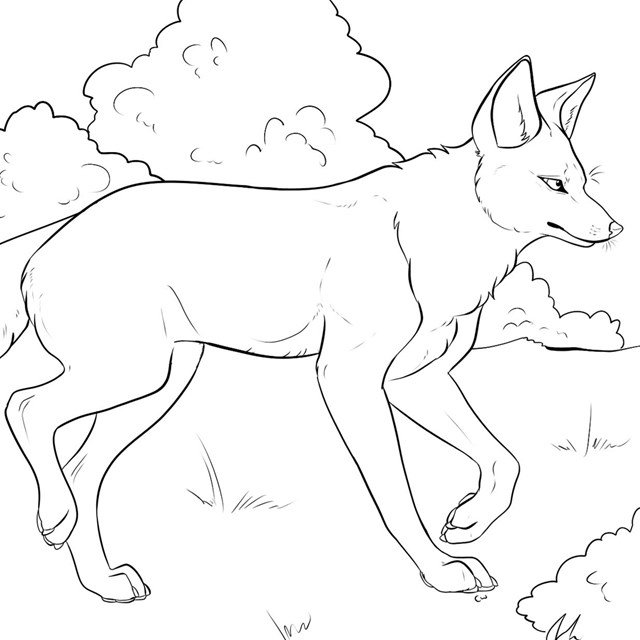 An illustration of the outline of a coyote.