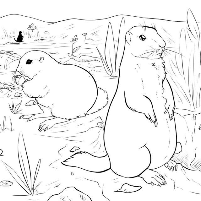 An illustration of an outline of a prairie dog.