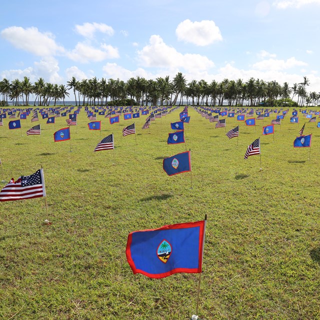 A field full of small Guamanian and American flags. In the background is the ocean.