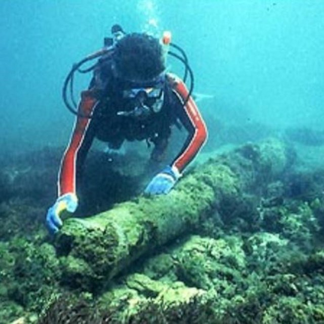 Diver with underwater artifacts. 