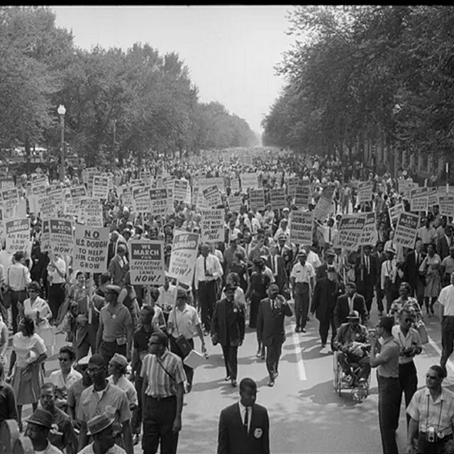 Large group of people marching down a street holding signs