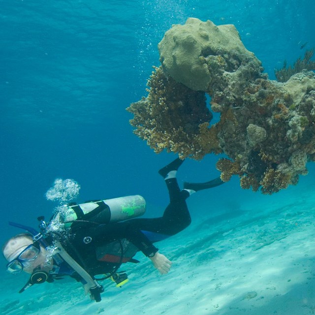 A scuba diver swims away from a coral reef.