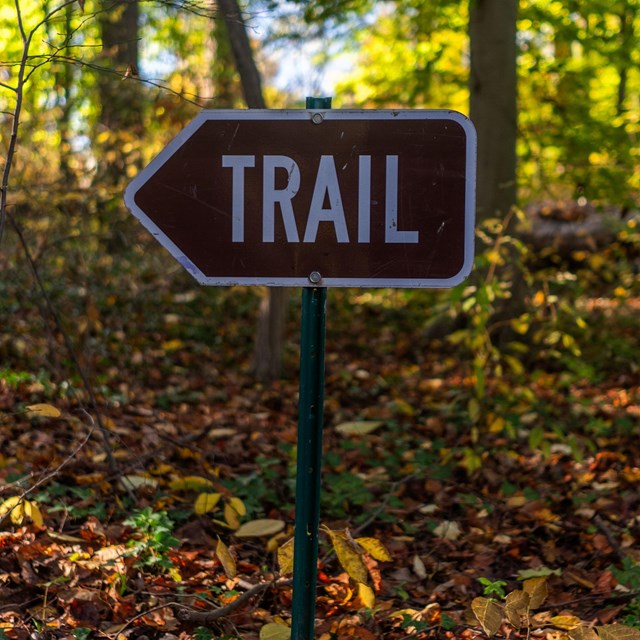 Brown trail sign with white lettering amidst autumn leaves and trees.
