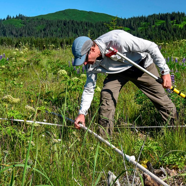 A man holds a metal pole close to ground vegetation with hills and mountains in the background