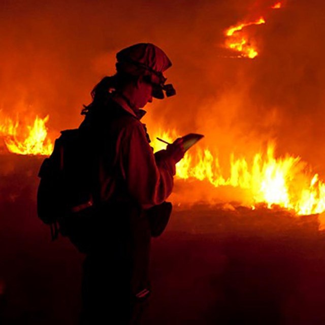 Sherry Leis taking notes at a prescribed burn