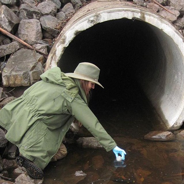 Angela collects water samples from a large outflow