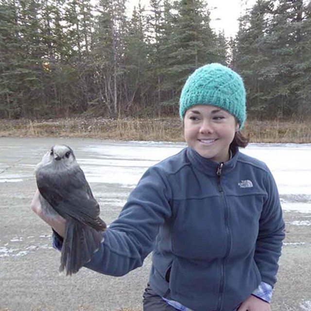 Emily holding a gray jay (bird).