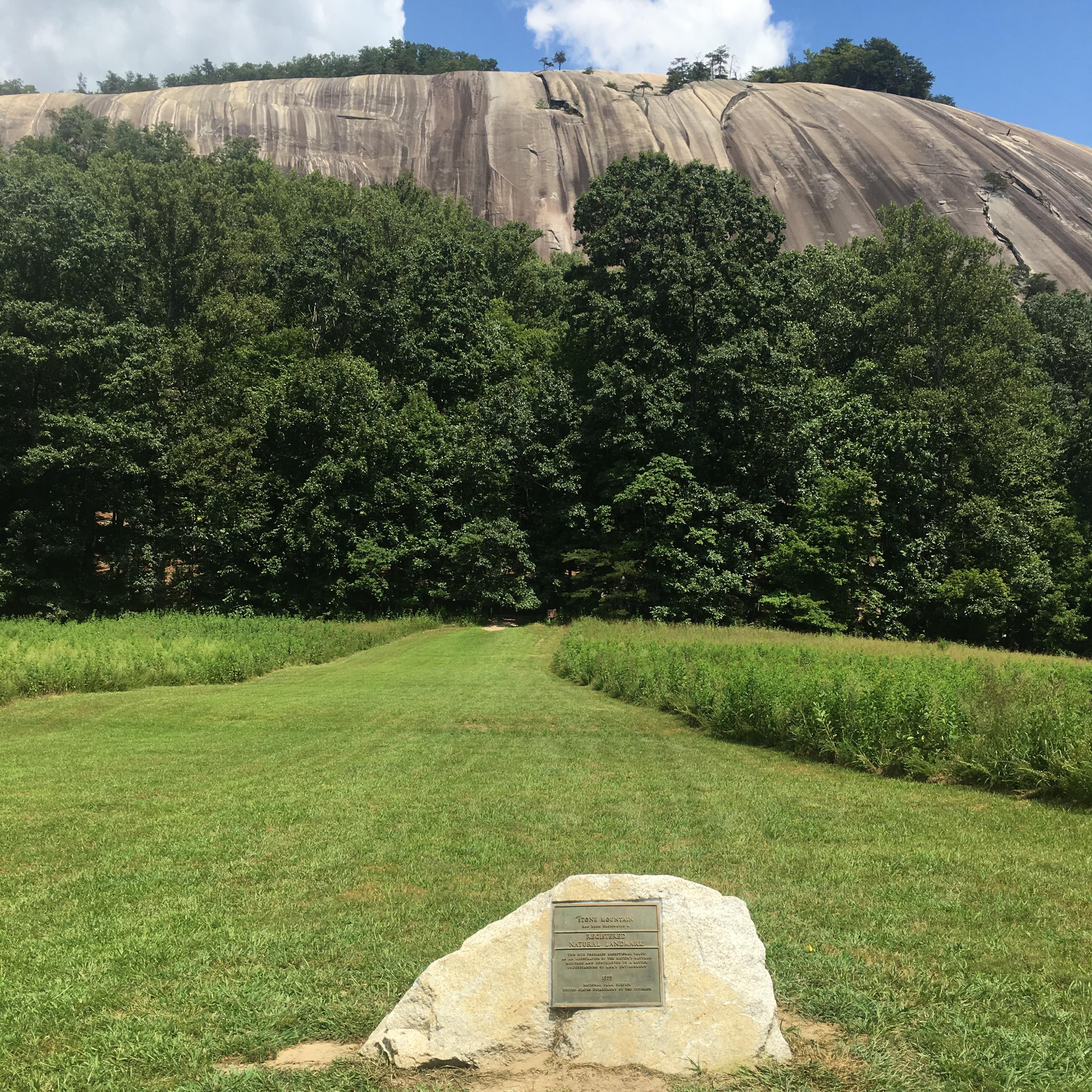a plaque on a rock in front of forest and a cliff