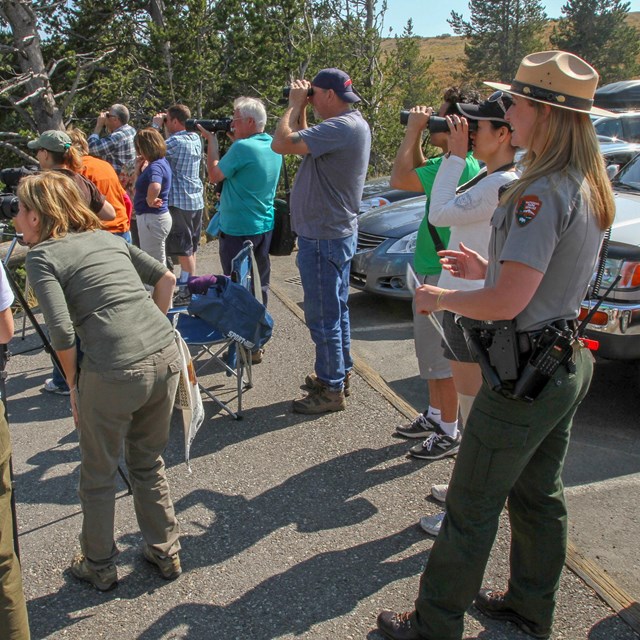 A ranger stands near a group of people with spotting scopes and cameras.