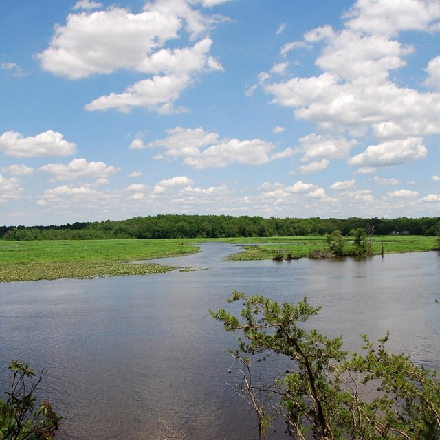 Water Quality 