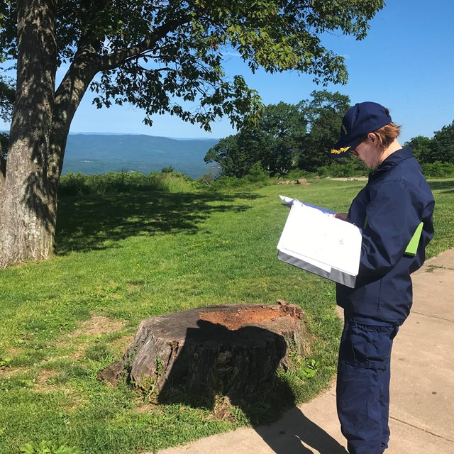 A woman looks at a binder of paper at an overlook.