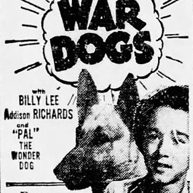 Newspaper ad for the WAR DOGS movie