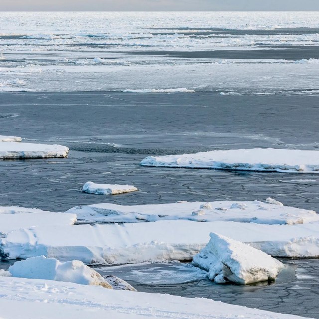 Scattered blocks of sea ice float across icy water.