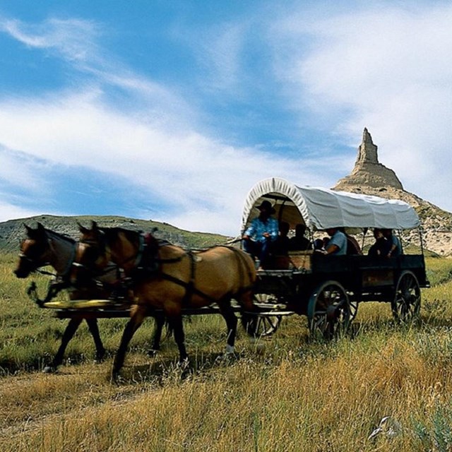 Photo of a horse and covered wagon