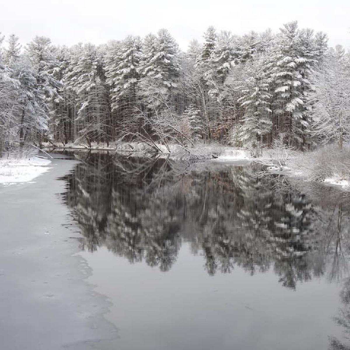 Water Quality