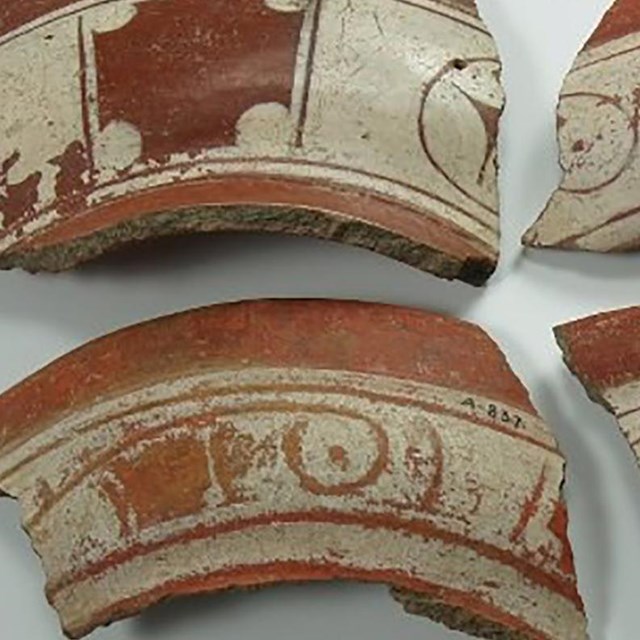 Red and white ceramics from the Saladoid era 