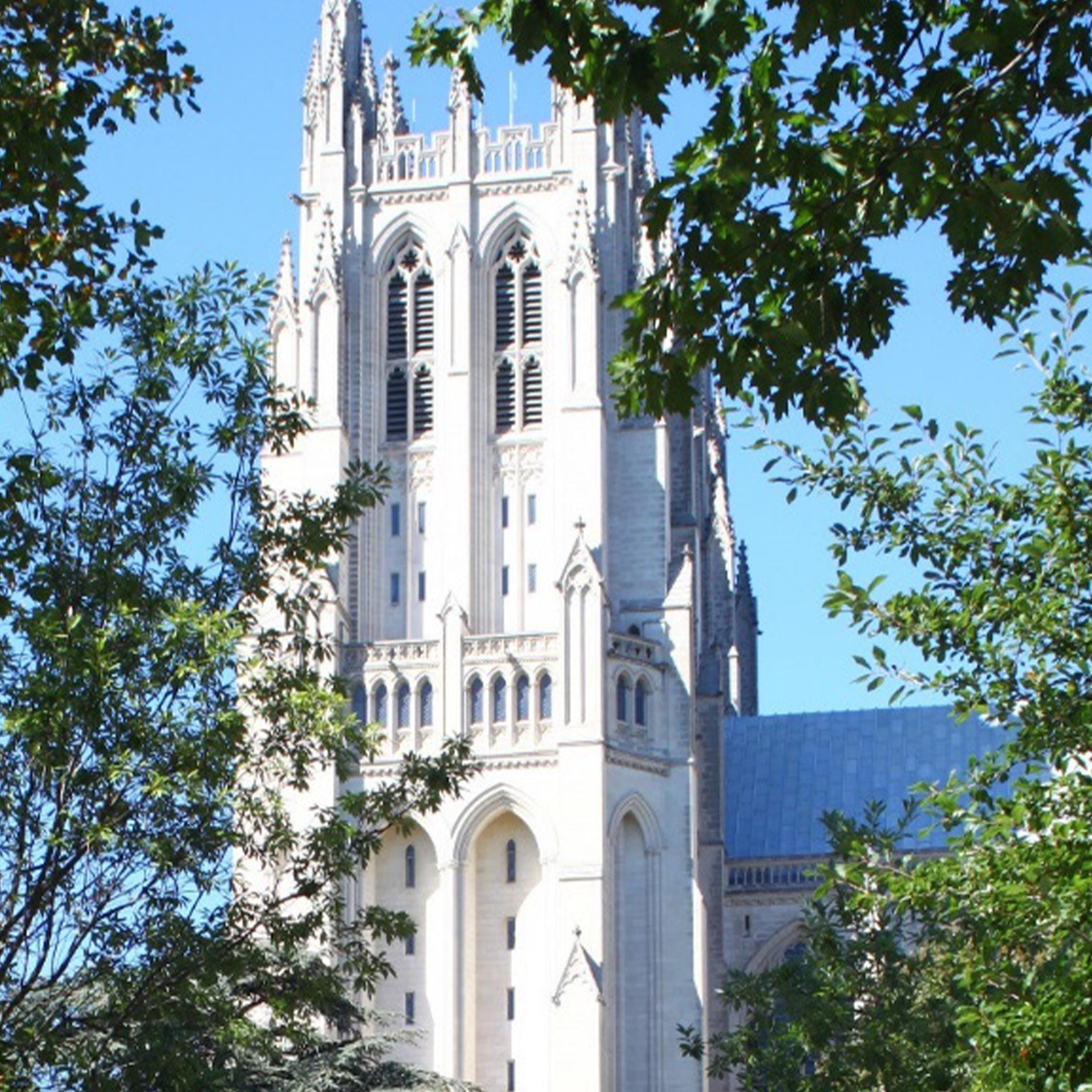 White Church seen through trees